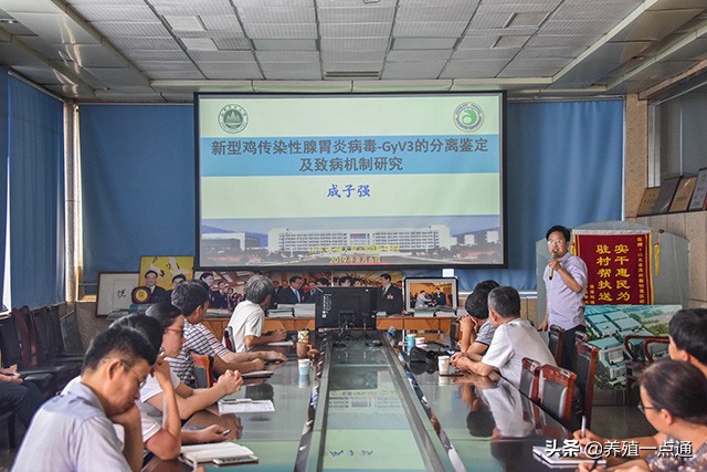 成子强，山东农业大学，教授、博导，禽病专家