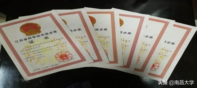 我们的2019 | 走进食品、新传、旅游、理学、软件、护理、儿科医学院和发规处、科技处