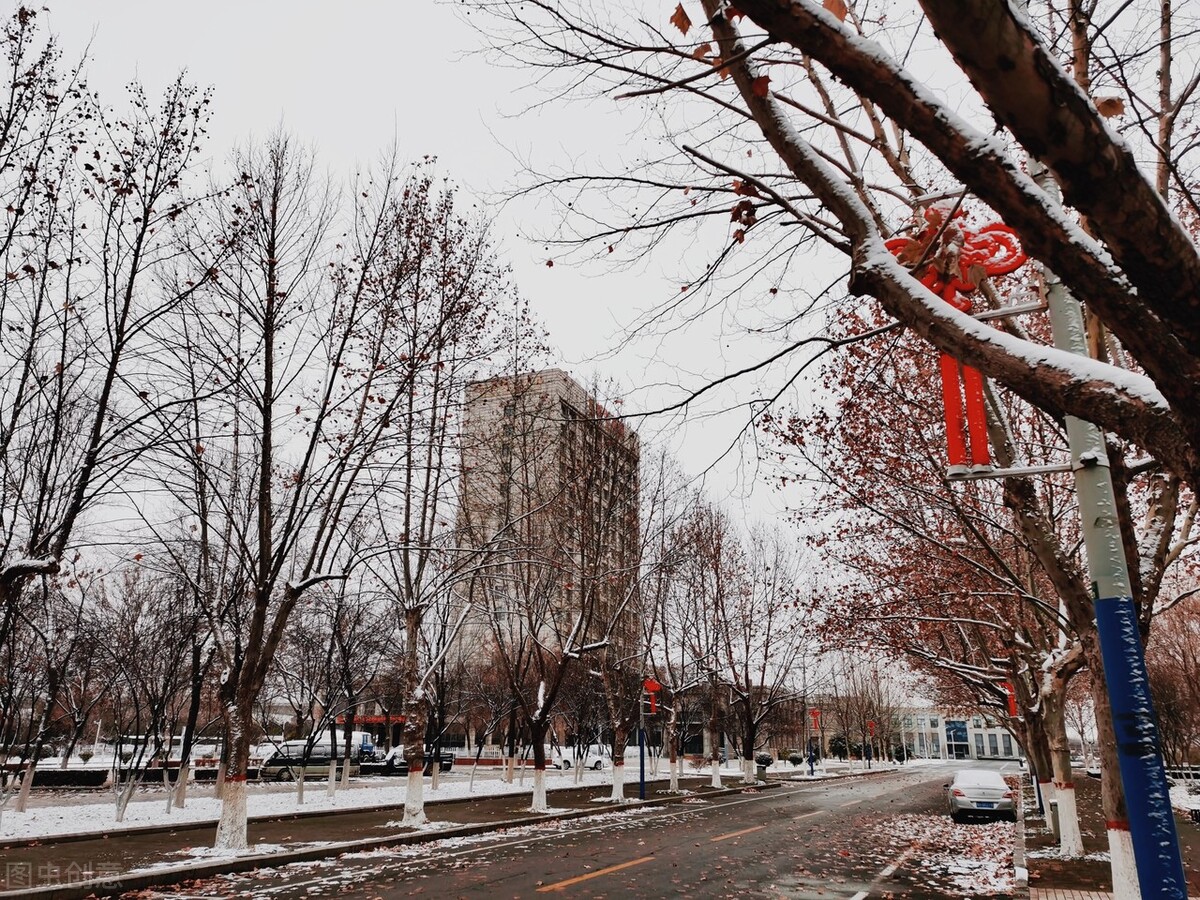 专升本的本科和高考的本科有区别吗？区别在哪里？专家分析到位