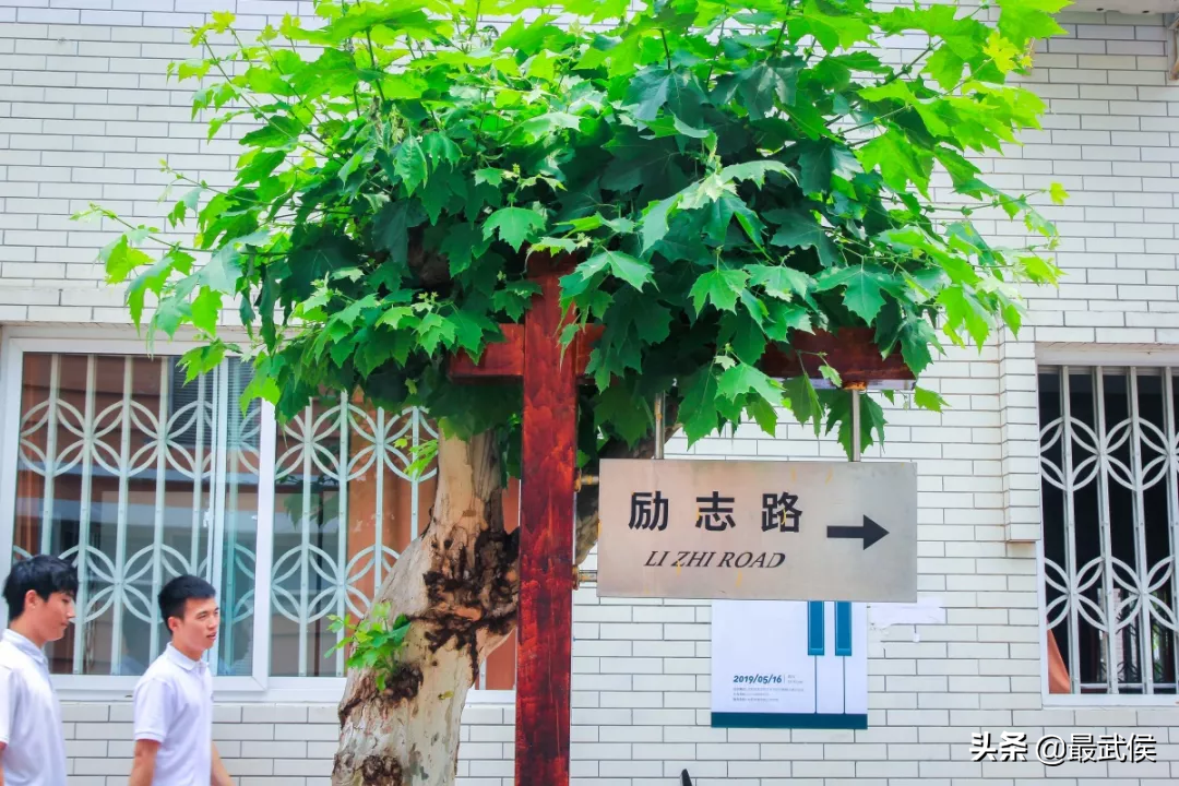 趁着搬迁之前，再去成都体育学院走一走吧！太满足了！