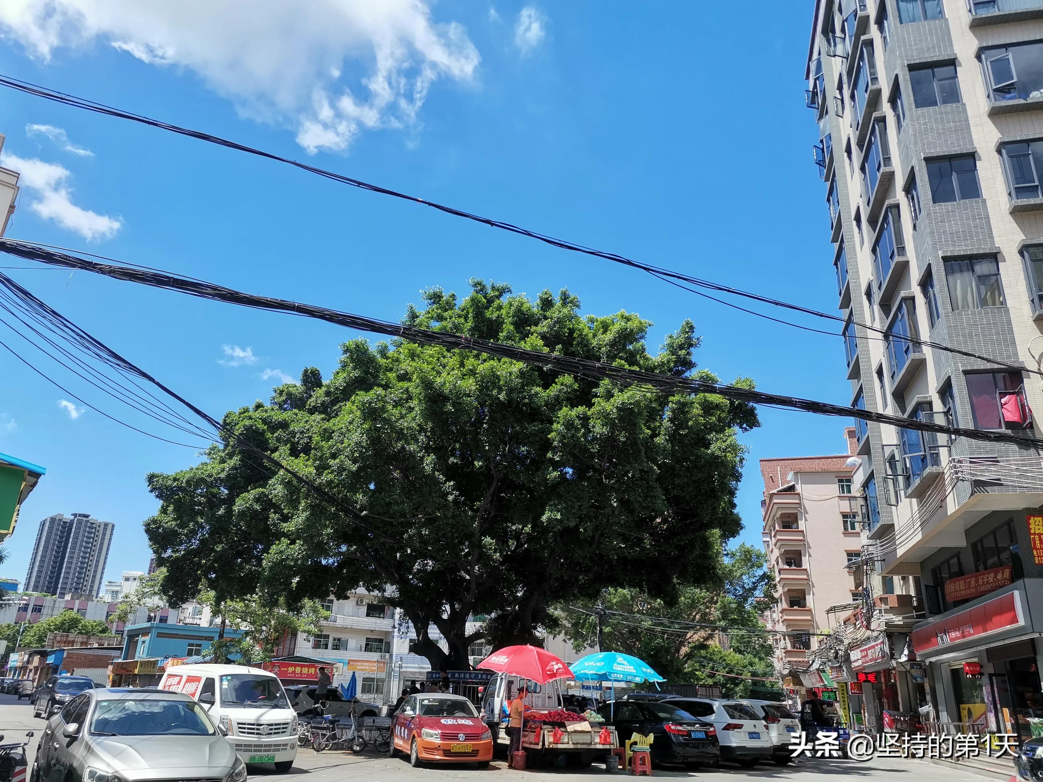 东莞32个镇街发展如何？长安独一档，塘厦或追上虎门