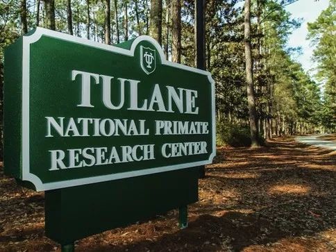 世界名校录取不停！纽约视觉艺术学院、普瑞特艺术学院、杜兰大学、罗格斯大学offer拿到手软！