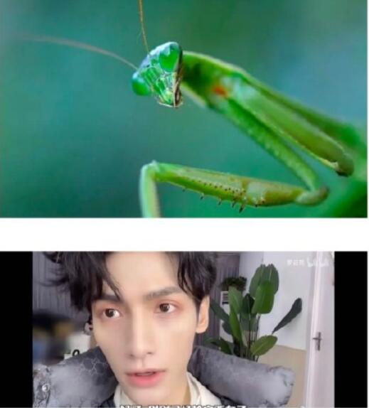 蒲巴甲的荒唐情史，以及他的著名前女友们