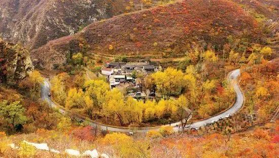 赏秋时节 </p><p>　　 打卡京郊这10条乡村公路，藏着北京最美的秋天