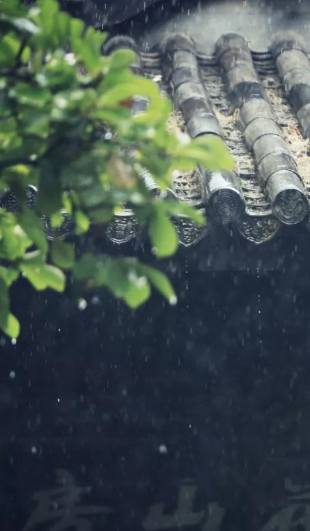 「诗词鉴赏」在夏日中听雨，唯美一段又一段的时光