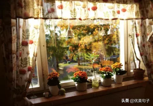 水的启示：做人如水，柔韧包容方显智慧