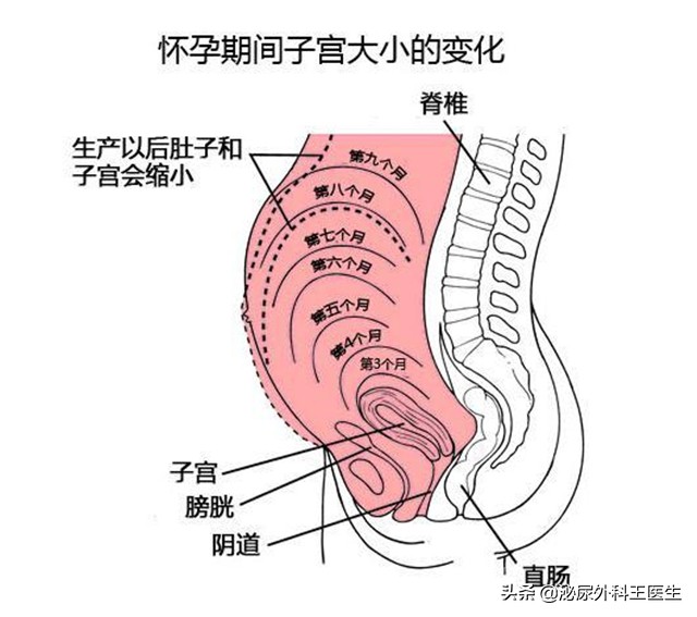 女人切除子宫,对性生活有什么影响呢?