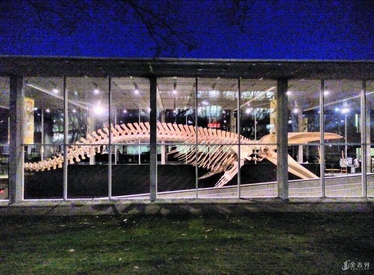 去温哥华读书，你一定要考虑最美丽的UBC