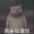 吃惊小猫表情包