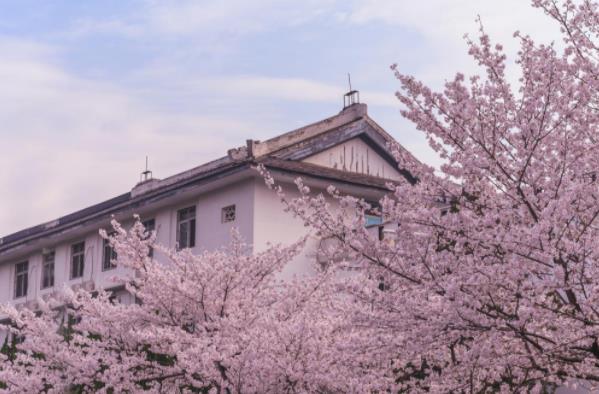 北方学生到南方读大学是啥体验？语言加密不算啥，干饭才是真难题