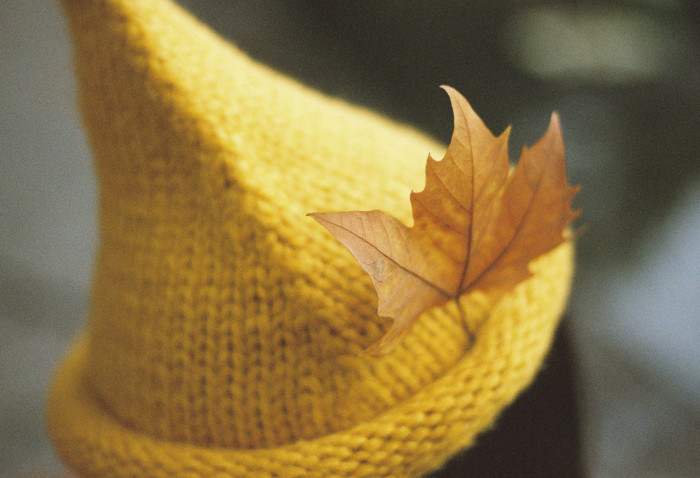 名篇欣赏之普希金诗三首：假如生活欺骗了你