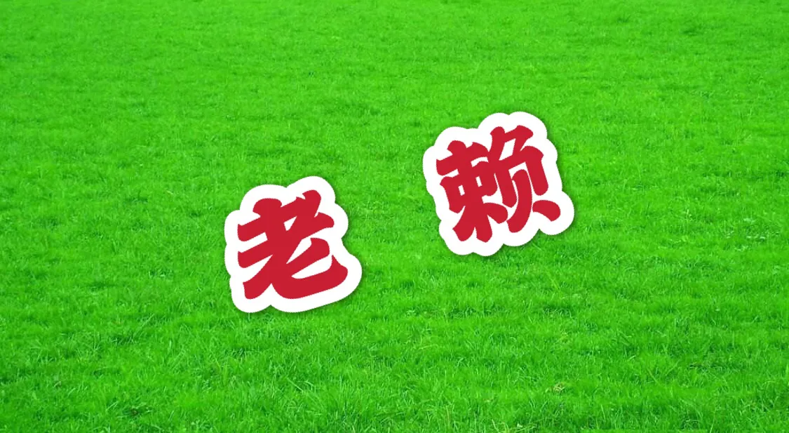 执行律师-查询老赖的财产系列八：退休金