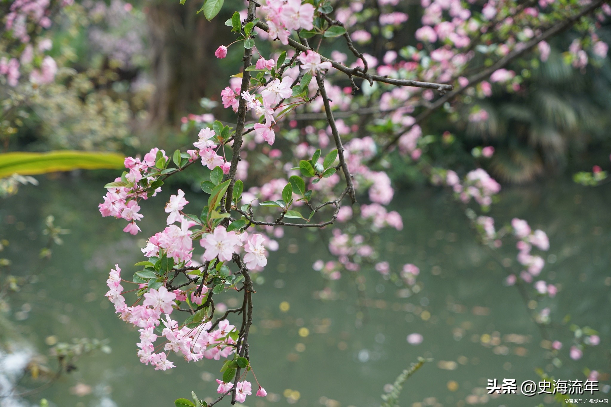 1200多所本科院校等您来，四川2020年二本录取分数线、位次号集锦