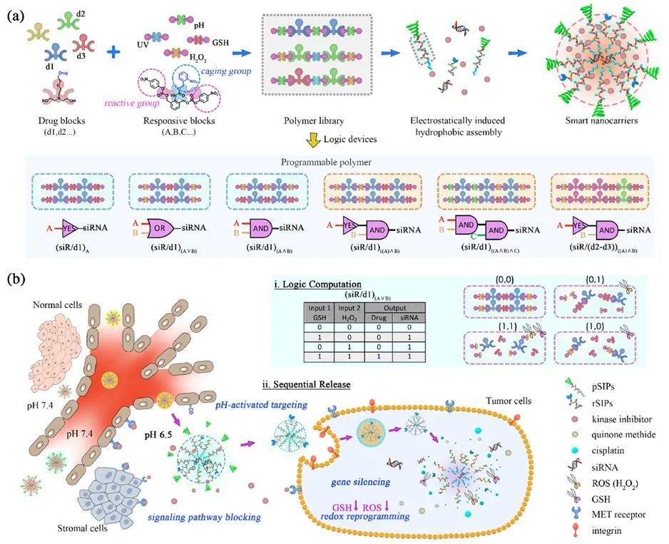 硬核！来看交大科技力！