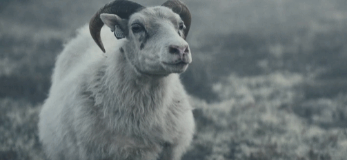 尺度大得吓人！年度最荒诞的恐怖片，这就是“美羊羊真人版”吧？
