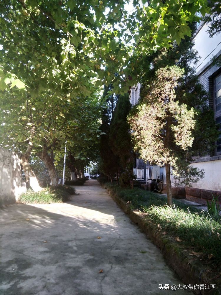 为逝去的记忆——重庆市合川师范学校掠影