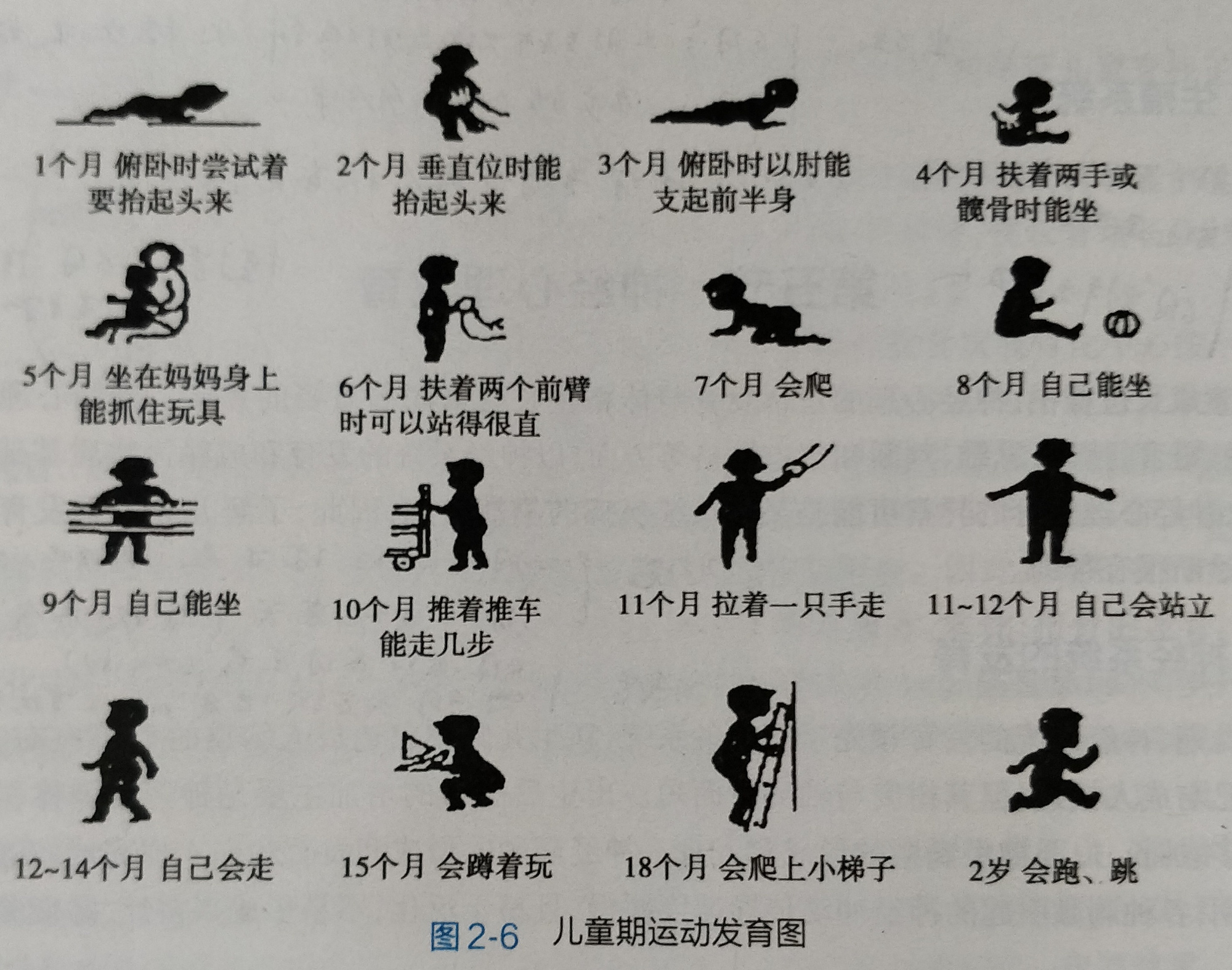 6个月是宝宝成长"分水岭",6大发育特点家长早了解,别养错