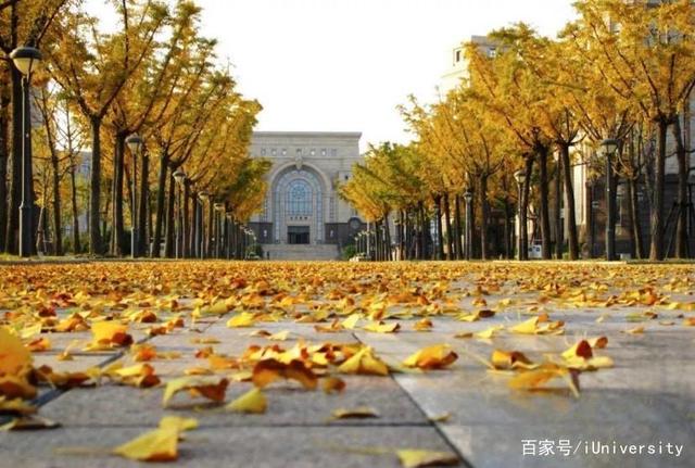 复旦大学经济学院：2022年起不再招学术型硕士生