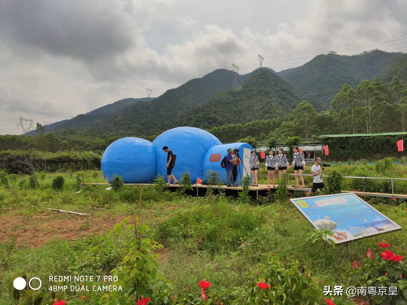 清远北江河边有个小渔村~白庙，还有个娃娃鱼养殖基地雪鲵庄园