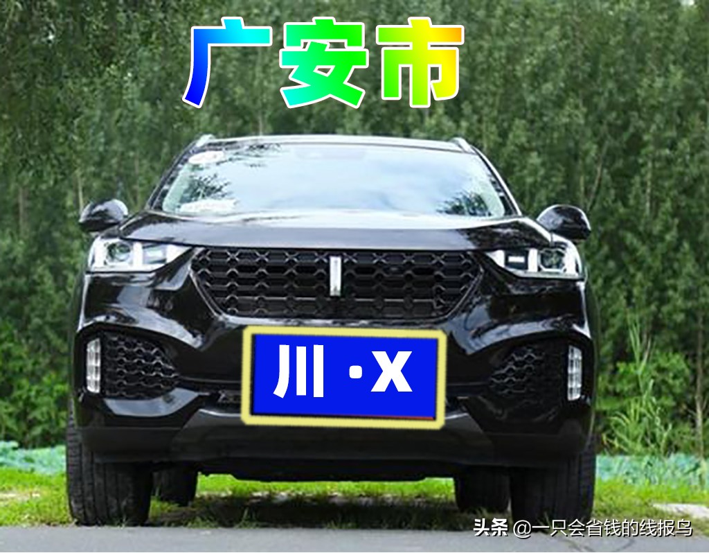 å››å·�çœ�æ±½è½¦ç‰Œç…§å&shy;—æ¯�æ�’åº�
