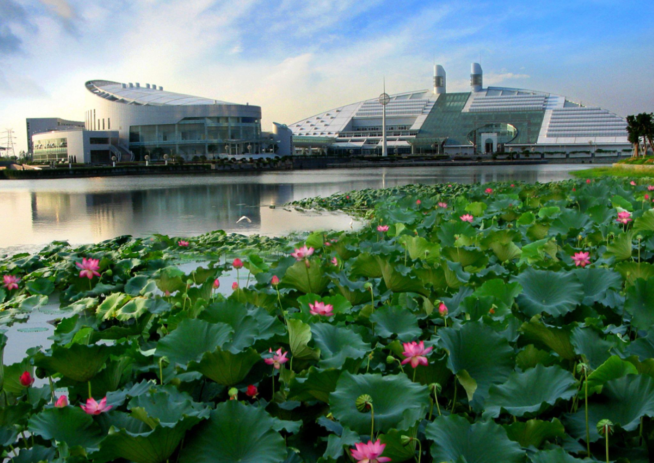 浙江省经济极为发达，却只有浙大一所211大学，是什么原因导致的