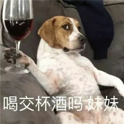 搞笑表情包图片：妹妹，来喝交杯酒