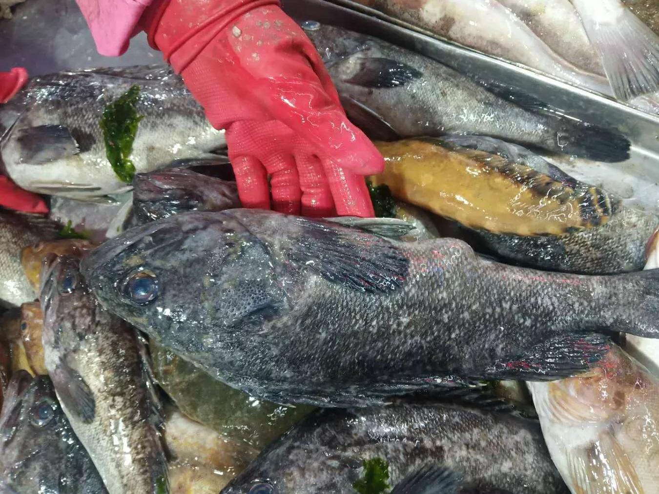 小雪前后，海鲜市场上常见的10种海鱼，鱼贩：现在正肥，要吃抓紧