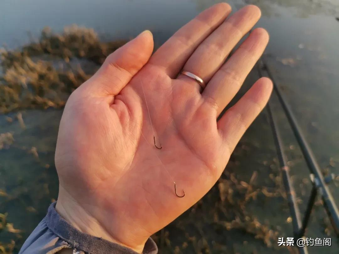 鱼钩和鱼线的秘密！了解这3种搭配方式，钓起鱼来得心应手