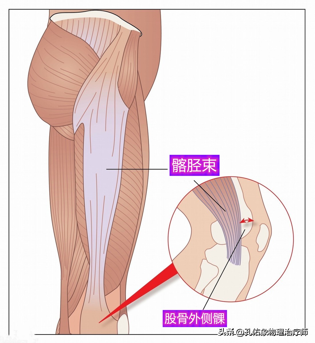 膝关节在下蹲、上下楼梯疼，还会响，为何？盘点6个原因，请收藏