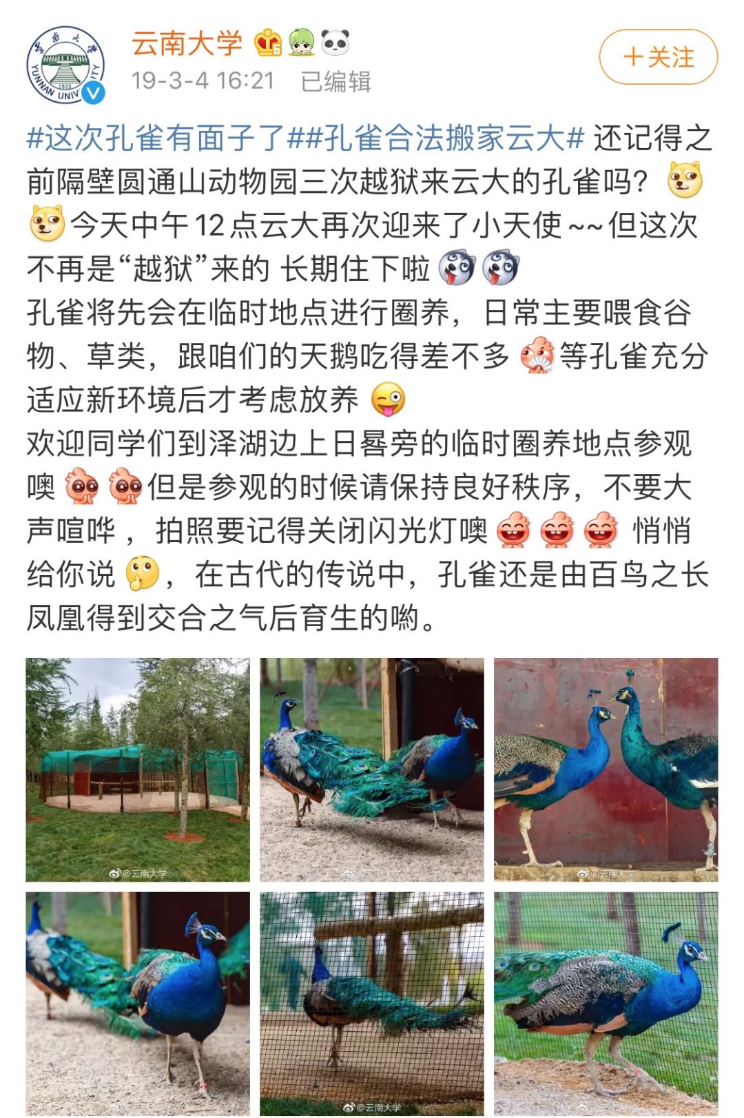 高校各种“神兽”出没，你的大学有什么？