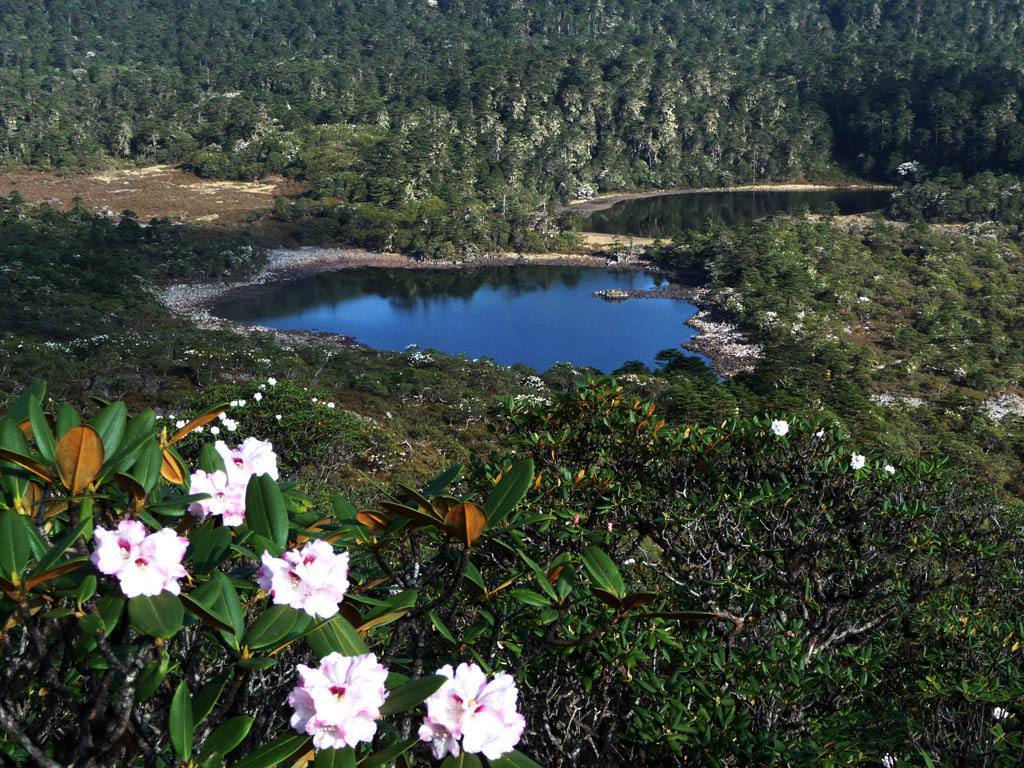 老君山挑战之旅丨3小时飞拉达攀岩，9公里大峡谷漂流