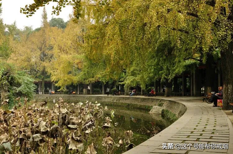 心如荷花天地宽，人生一笑岁月长；医海无涯必励钻，博采勤收受益