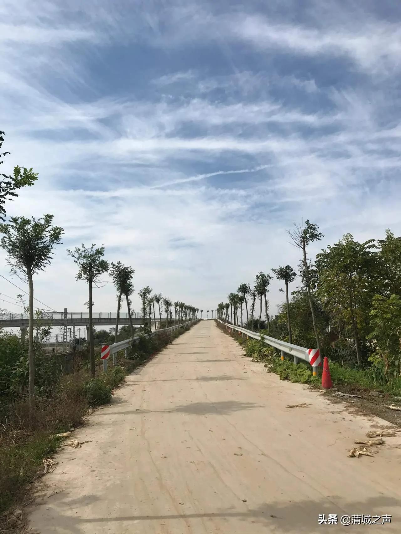 治安管理处罚的程序适用什么的规定,治安管理处罚的程序适用治安管理处罚法的规定