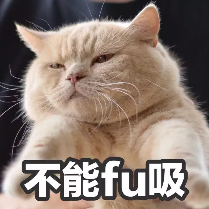 海底捞画风突变:满场撩妹机器人,配人造星空堪称年度最佳打卡地