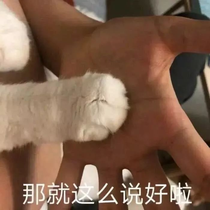 直男专用撩妹表情包