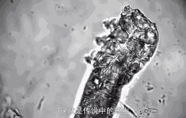 “康王之父”83歲再創業！與時間賽跑的周家礽，還在路上...