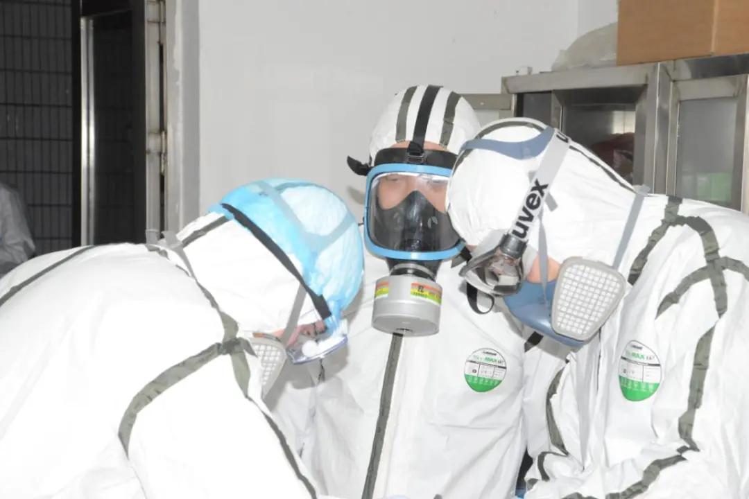 尸体上令人作呕的蛆，他拿起来量了量长度