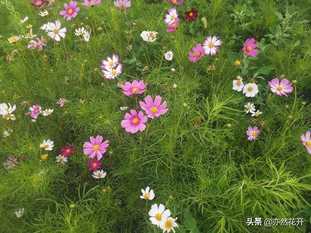 如何写好新闻？这5个要素要掌握，让你的新闻更有吸引力