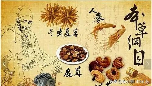 一篇文章，掌握中医药痛症的治法