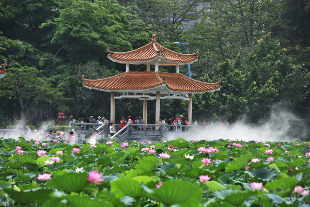 深圳10个免费公园，你们去了几个，不来打卡太可惜