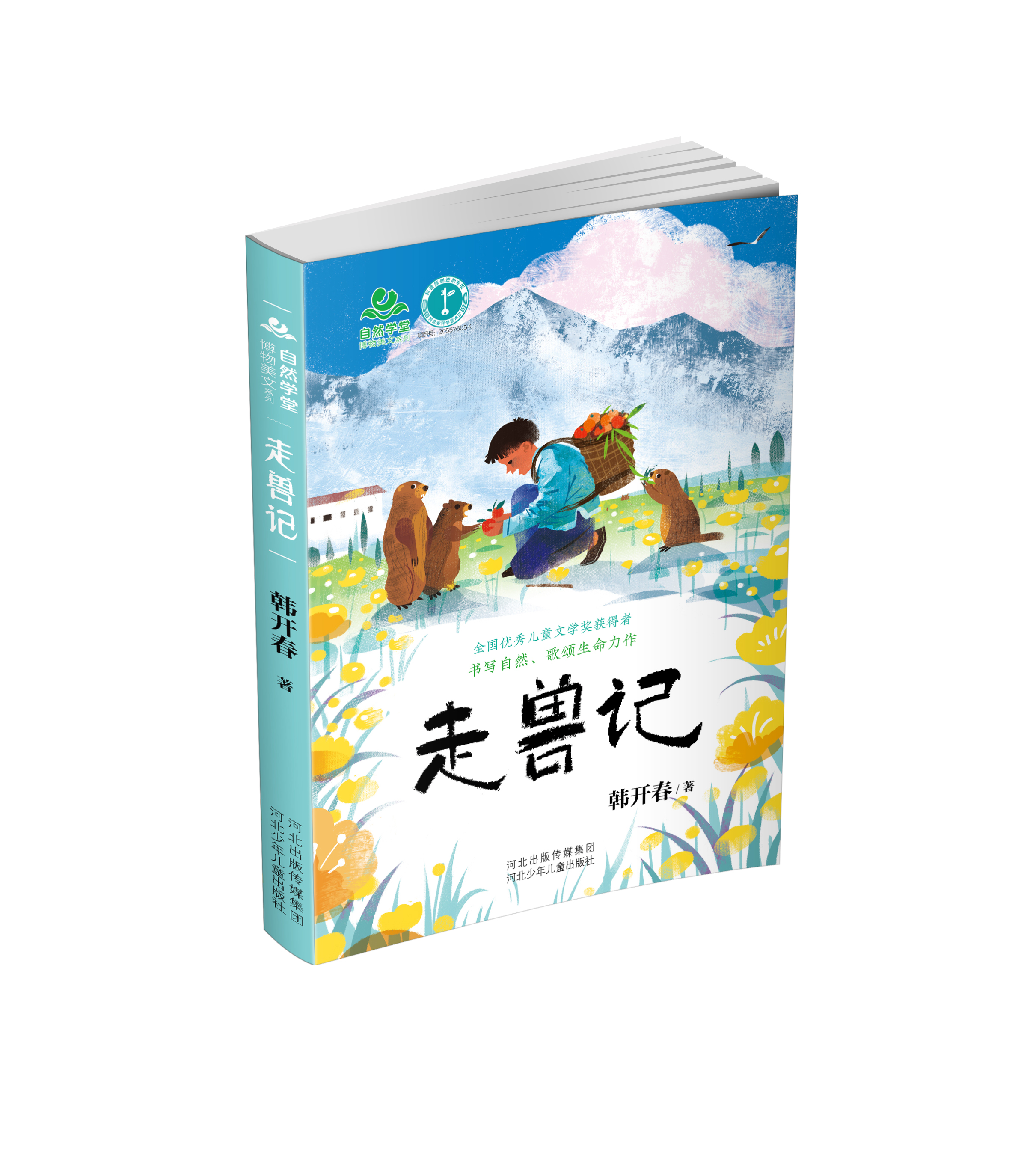 黃鼠狼偷雞,黃鼠狼偷雞怎么辦