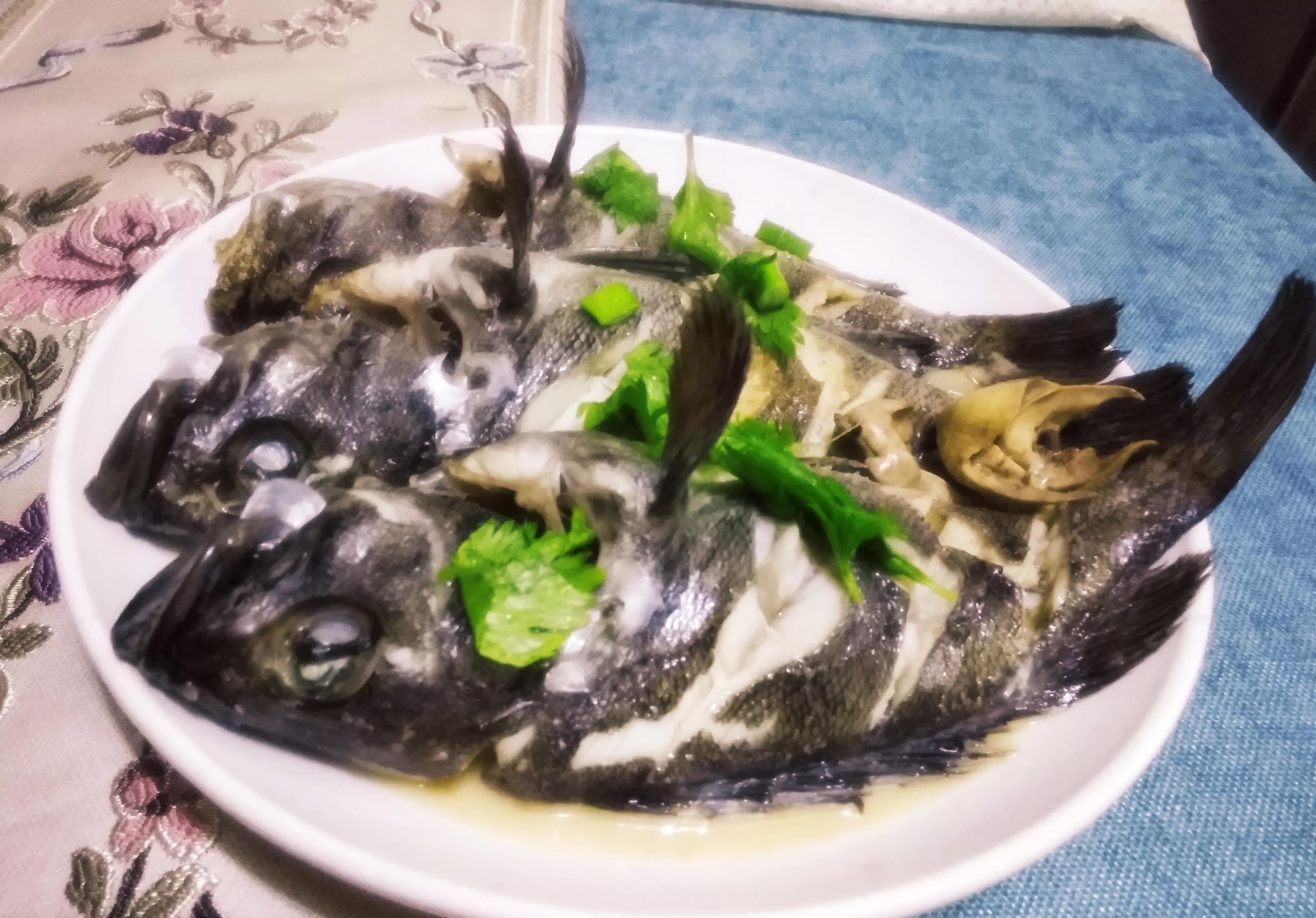 海魚的種類圖片,海魚種類名稱圖片大全