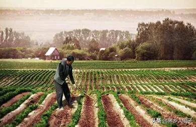 农村承包土地能抵押贷款吗?2020年最新政策是怎样