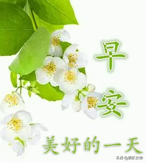 人生，不过一杯茶，满也好，少也好，争个什么，早安