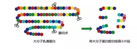 揭开“小分子”奶粉真面目：真值得买还是瞎忽悠？