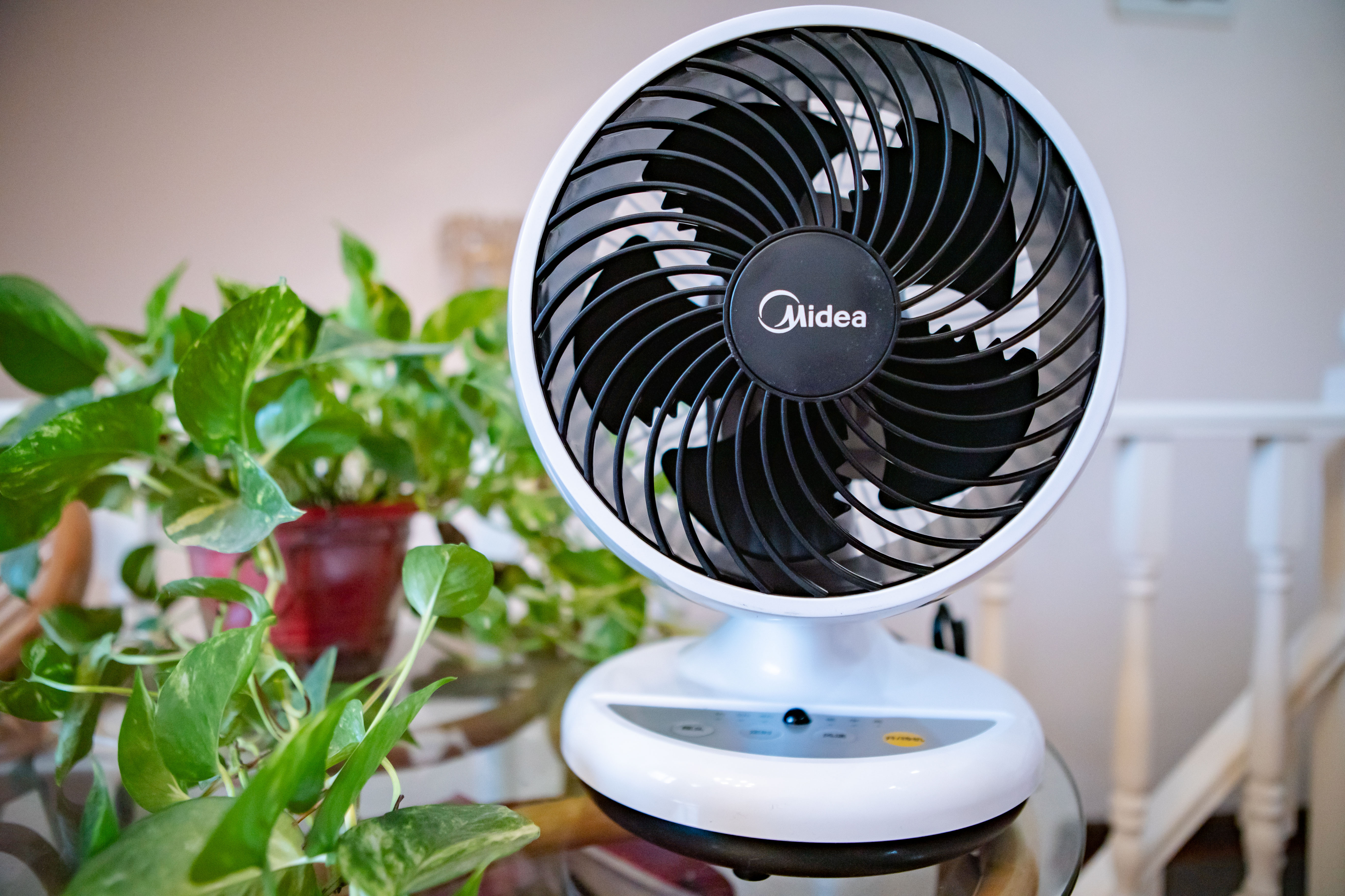 电风扇哪个牌子好(日本什么牌子电风扇好)