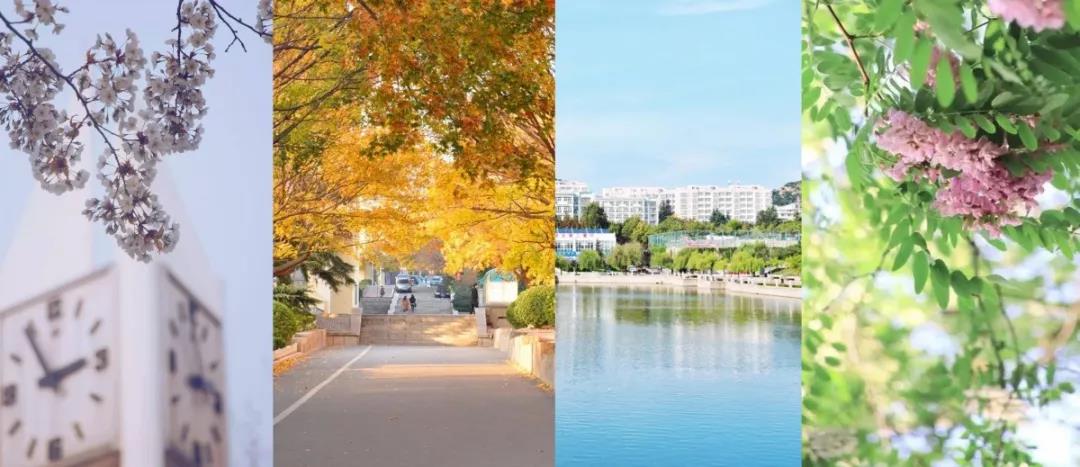 坐拥三大校区，占地2655亩，培养超30万精英，十个理由让你爱上山东这所高校！