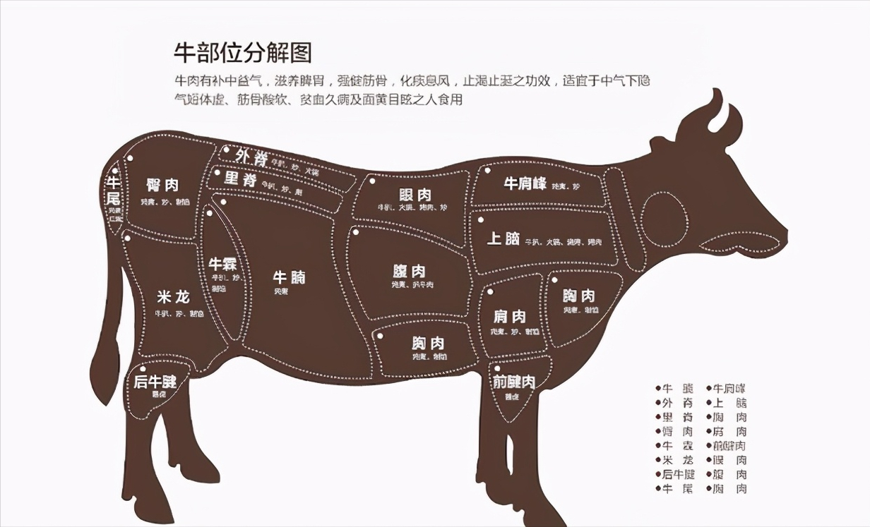 牛肉分解图高清图片