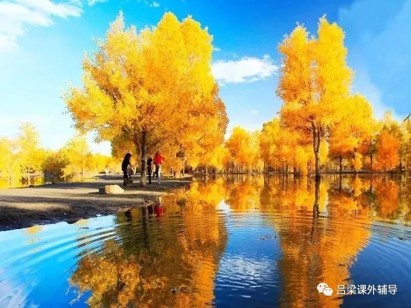 塔里木大学与二本低分志愿选择