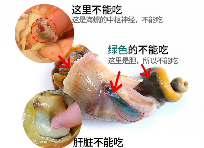 春天的海螺正肥美，牢记“3个部位”不要吃，吃得放心又健康